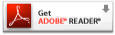 flash reader