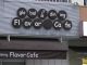 global dining Flavor Cafe̎ʐ^