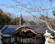 �_�O�_�� ���厛